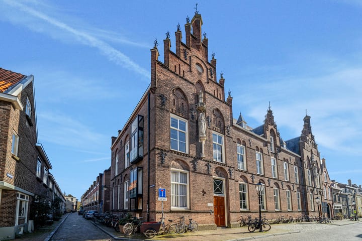 Foto 1 van Springweg 450