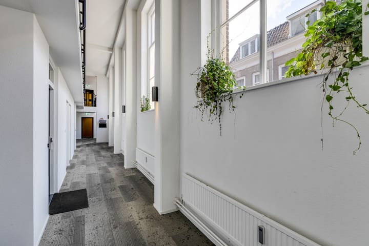 Foto 9 van Springweg 450