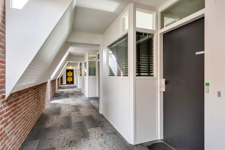 Foto 11 van Springweg 450