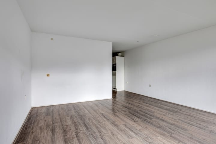 Foto 16 van Springweg 450