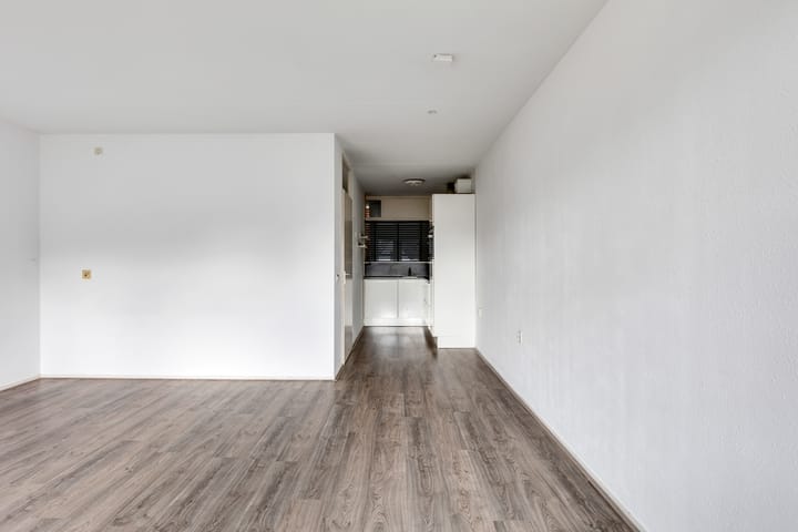 Foto 17 van Springweg 450