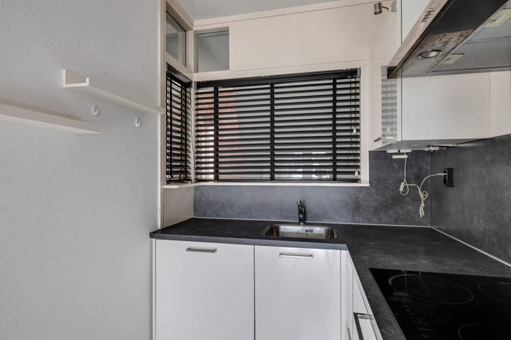 Foto 21 van Springweg 450