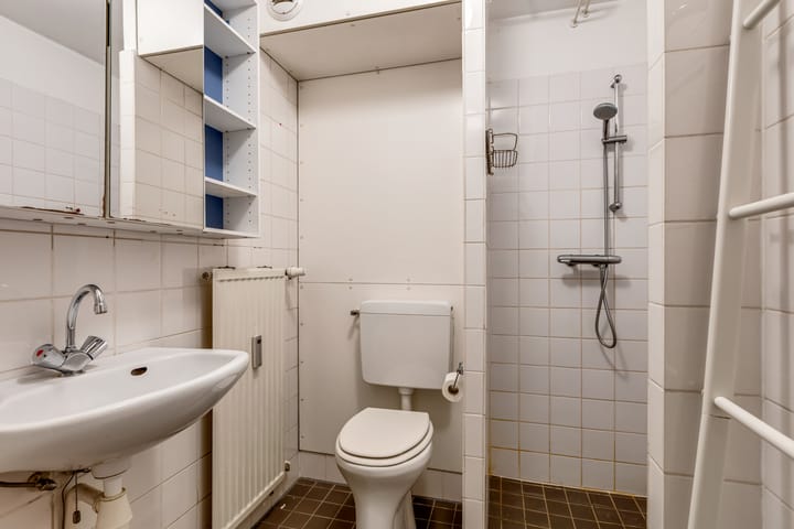 Foto 25 van Springweg 450