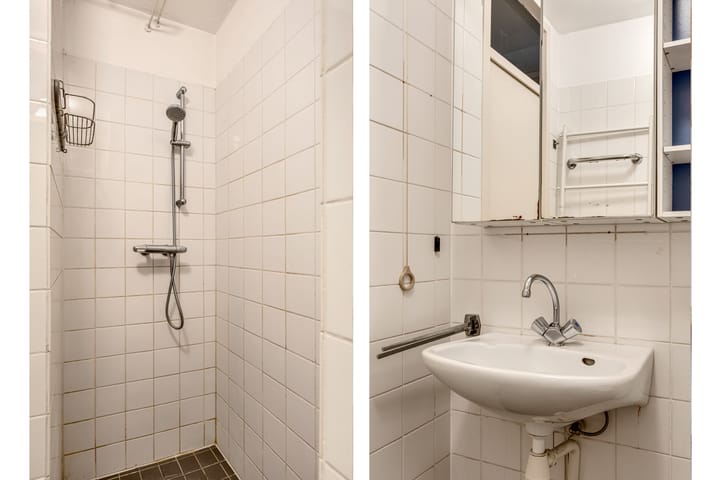 Foto 26 van Springweg 450