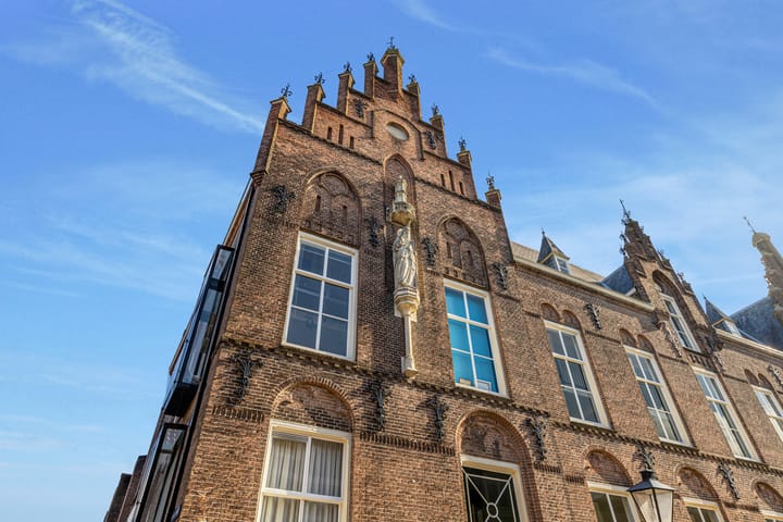 Foto 36 van Springweg 450