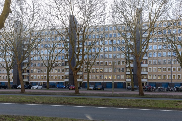 Bekijk foto van Van Nijenrodeweg 569