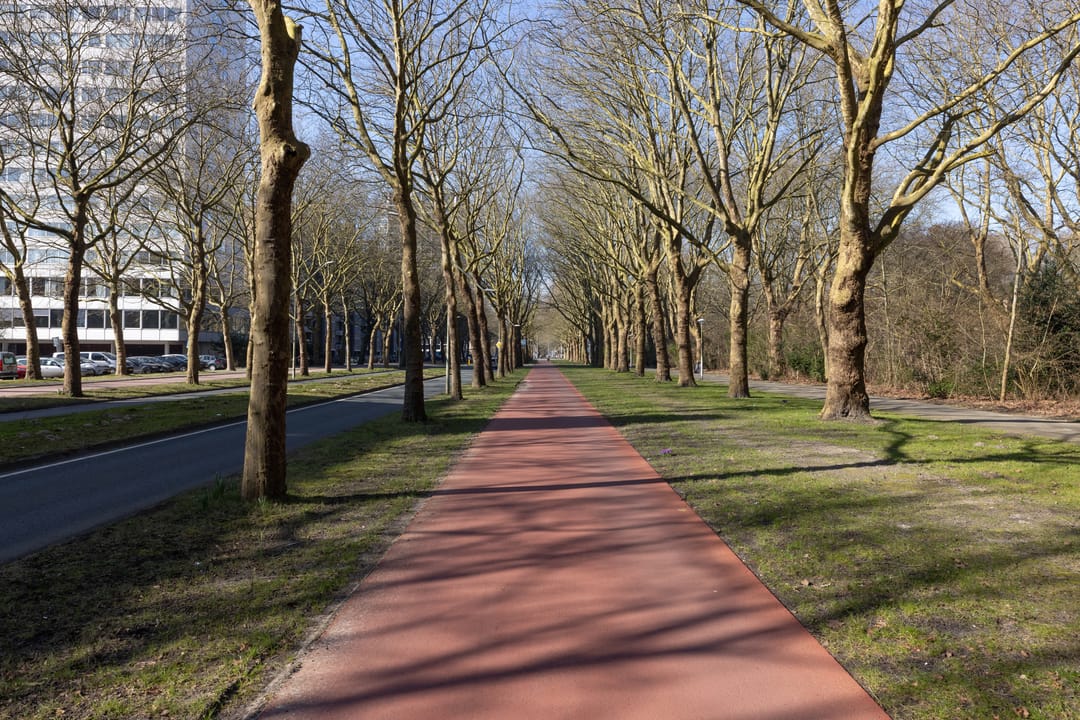 Foto 28 van Van Nijenrodeweg 569