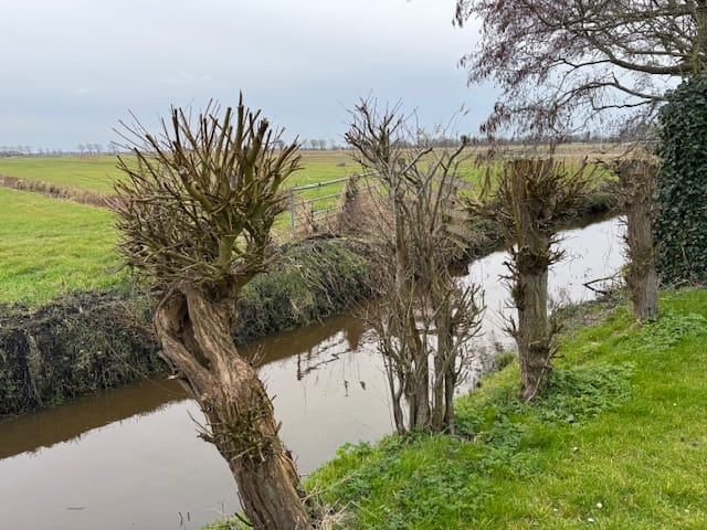 Foto 22 van Warder 32