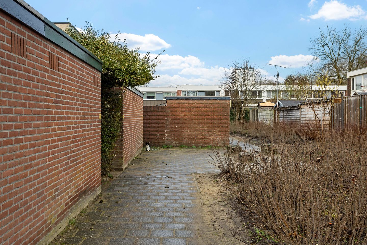 Foto 34 van Laan van de Marel 367