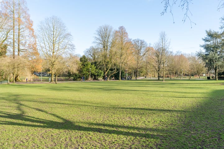 Foto 48 van Mendelssohnstraat 50