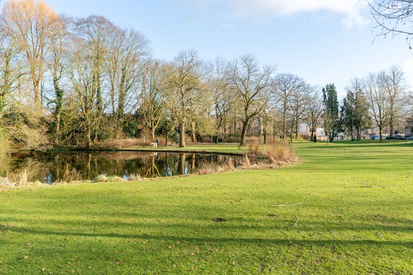 Foto 49 van Mendelssohnstraat 50