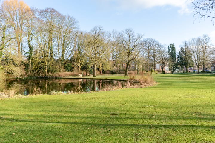 Foto 49 van Mendelssohnstraat 50