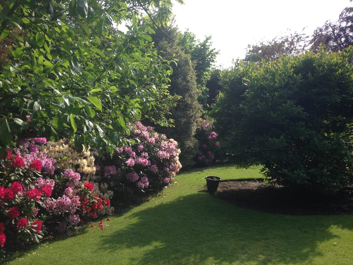 Foto 55 van Stoffels 119