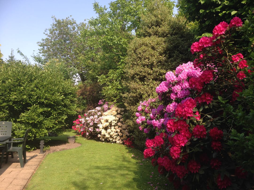 Foto 56 van Stoffels 119