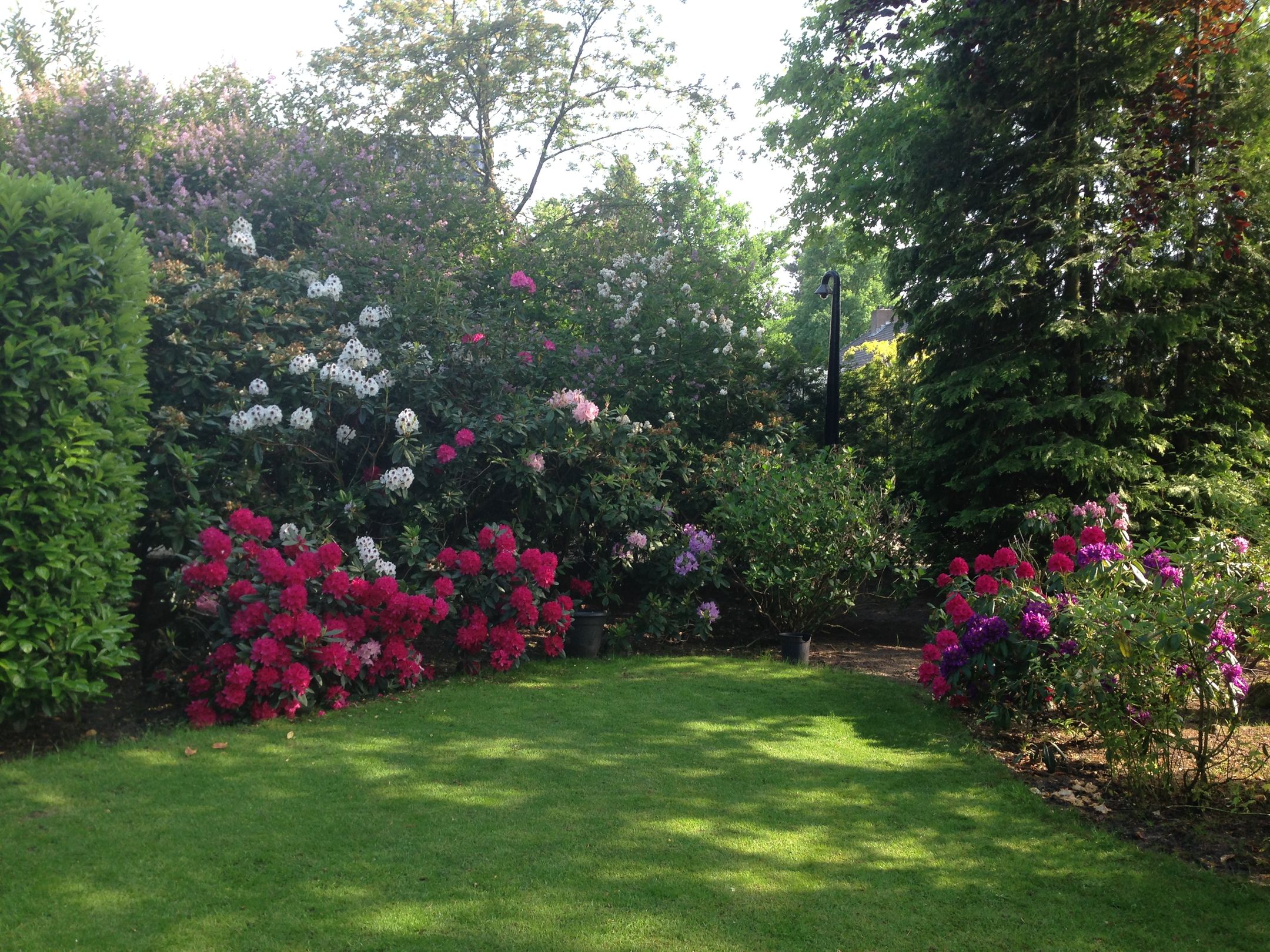 Foto 57 van Stoffels 119