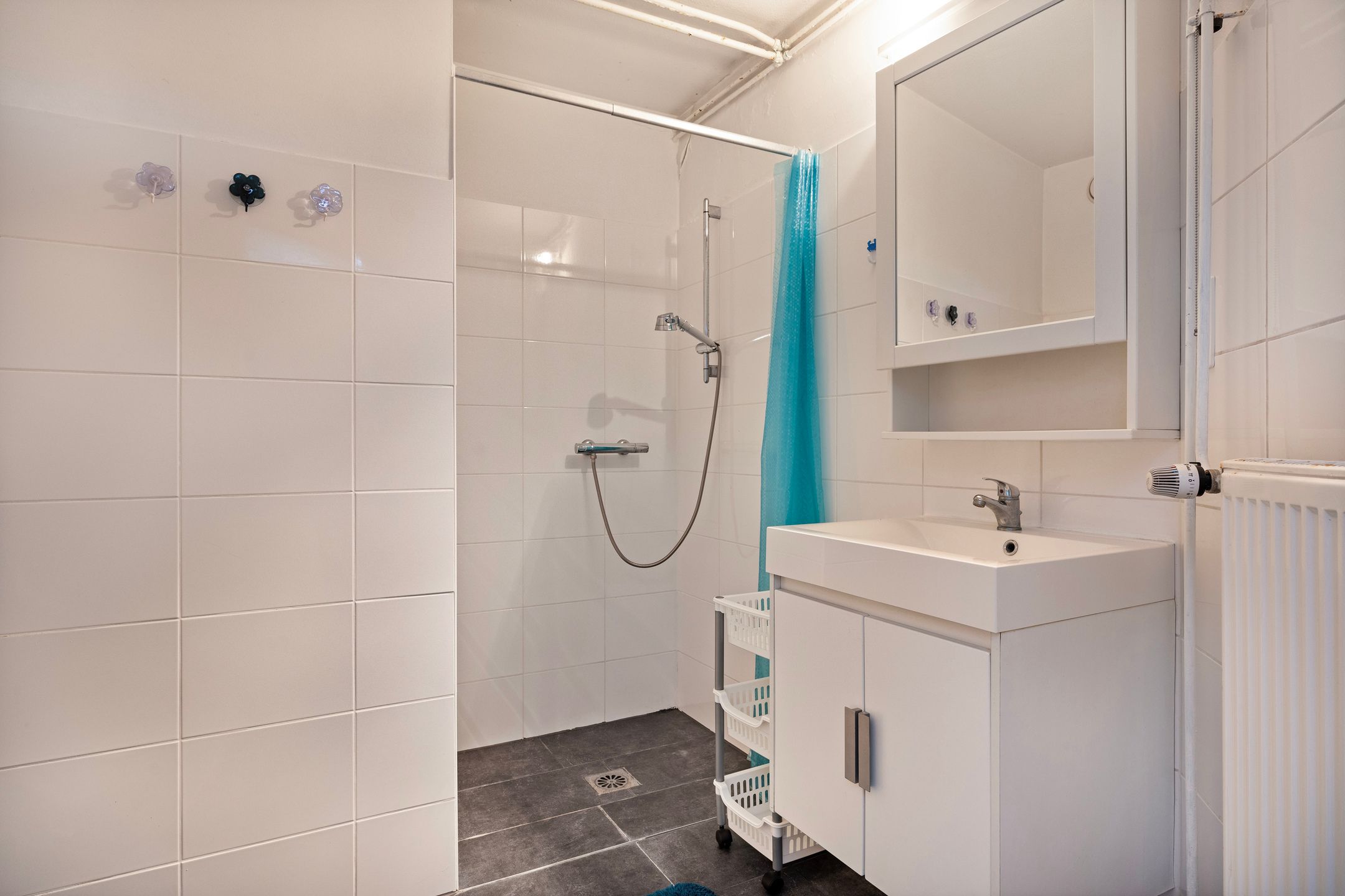 Foto 15 van Tolhuis 3304