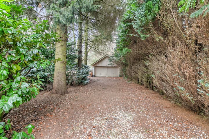 Foto 55 van Douglaslaan 12