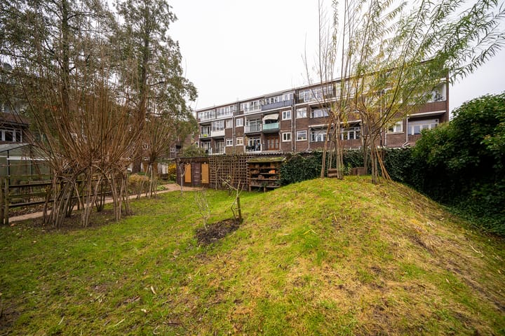 Foto 25 van Den Hertigstraat 47-C