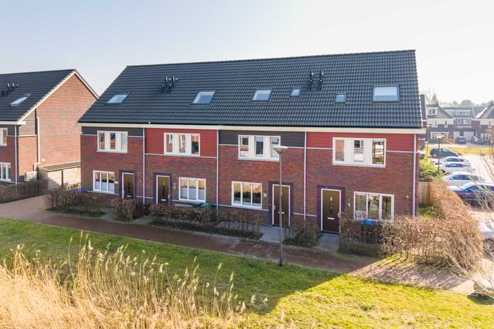 Foto 1 van Honderdspint 3