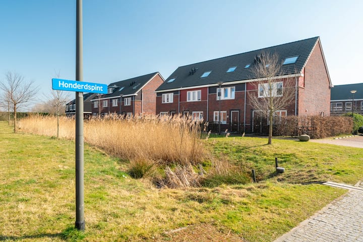 Foto 8 van Honderdspint 3