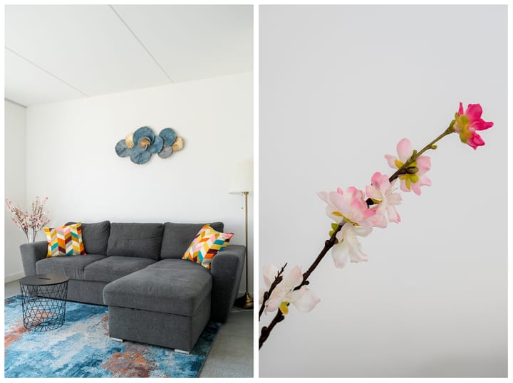 Foto 15 van Honderdspint 3