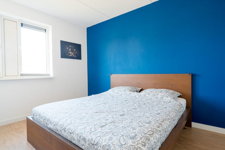 Foto 30 van Honderdspint 3