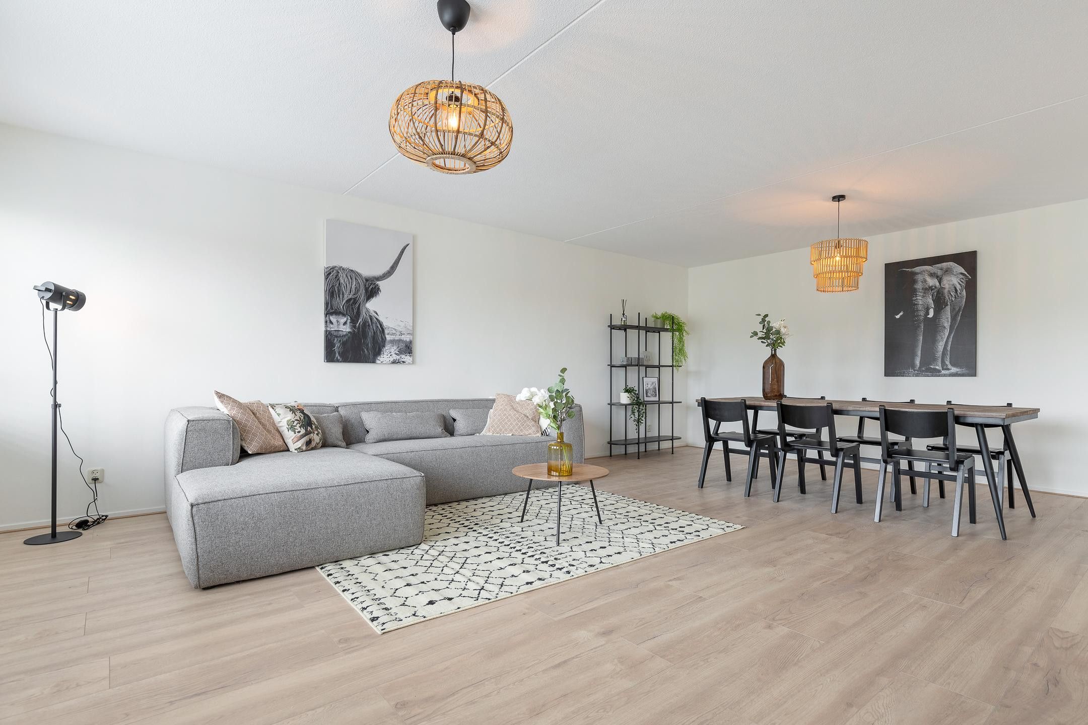 Foto 9 van S.O.J. Palmelaan 231