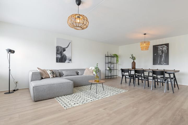 Foto 9 van S.O.J. Palmelaan 231