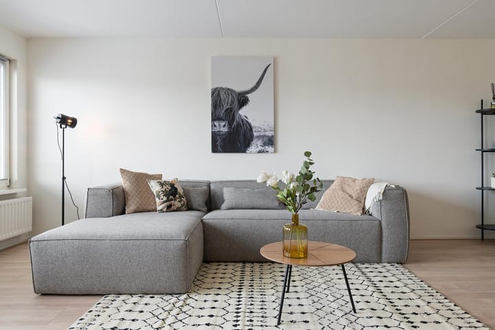 Foto 7 van S.O.J. Palmelaan 231