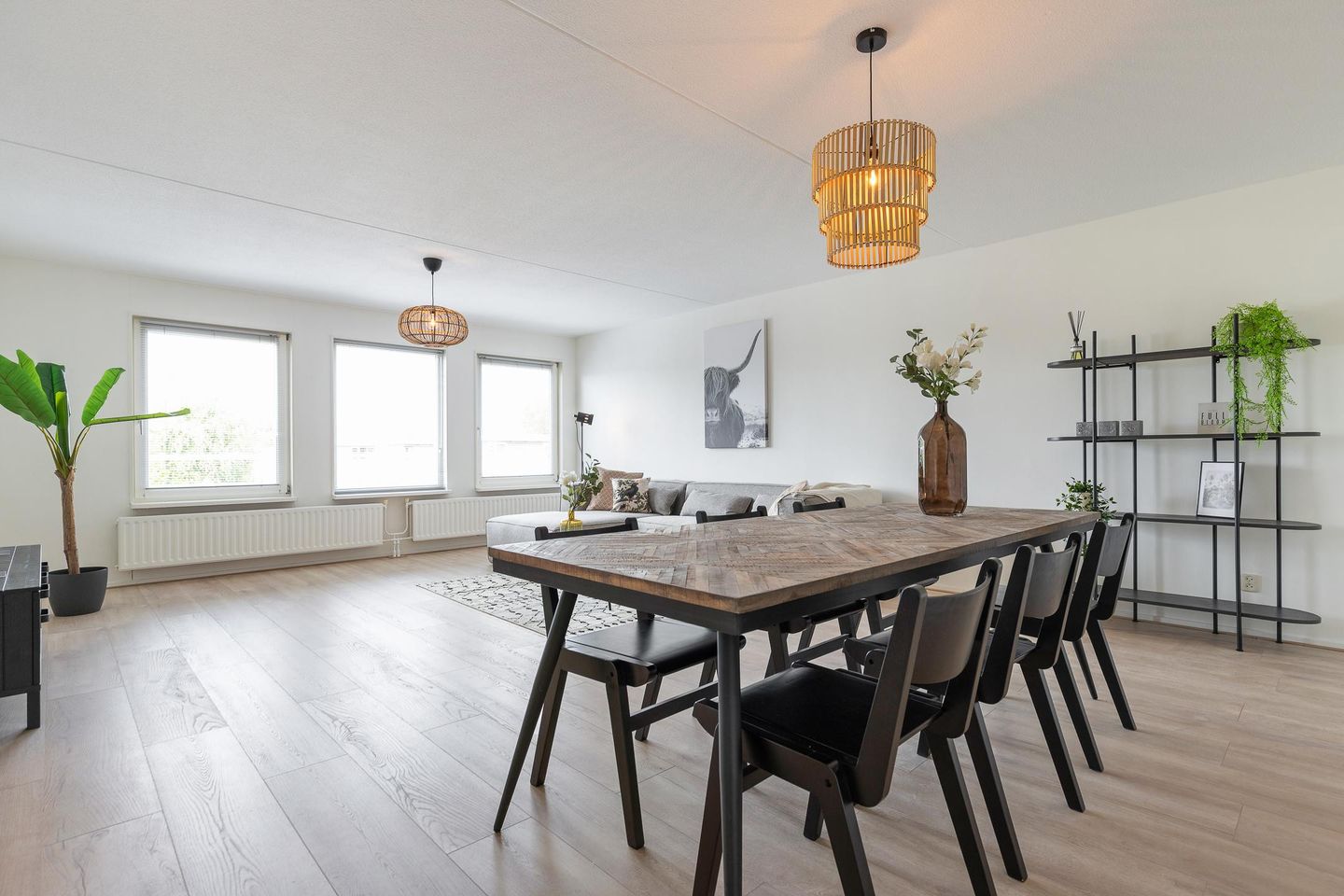 Foto 5 van S.O.J. Palmelaan 231