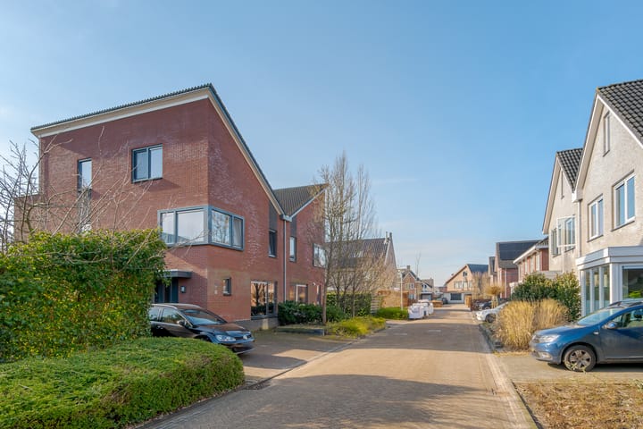 Foto 3 van Ebbenhout 3