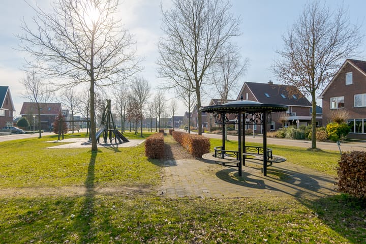 Foto 4 van Ebbenhout 3