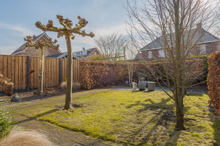 Foto 64 van Ebbenhout 3