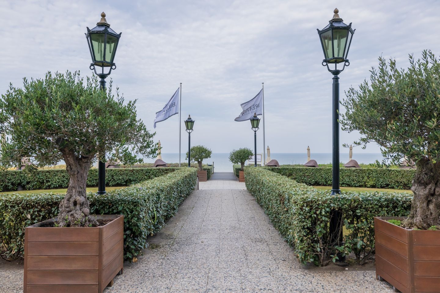 Foto 20 van Duinroos 57