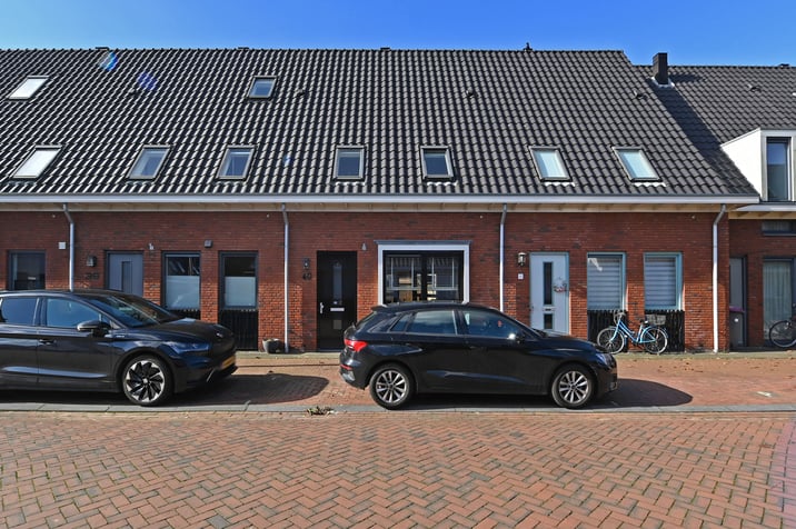 undefined main image