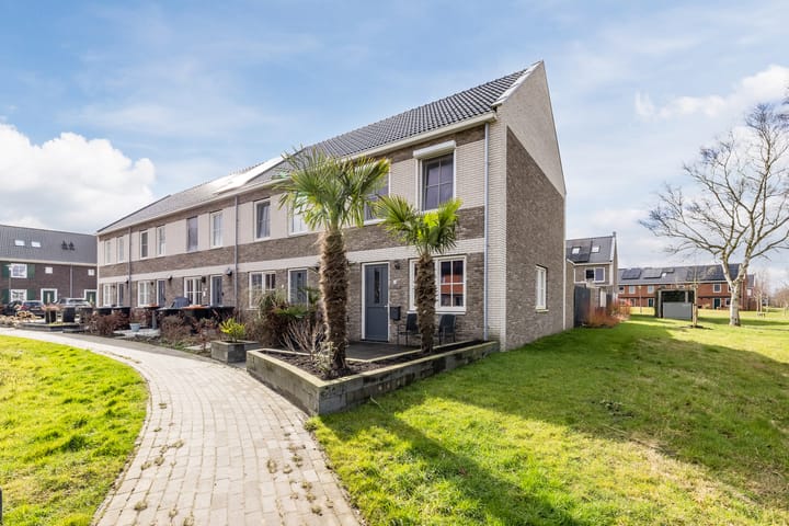 Foto 1 van Pronkridder 45