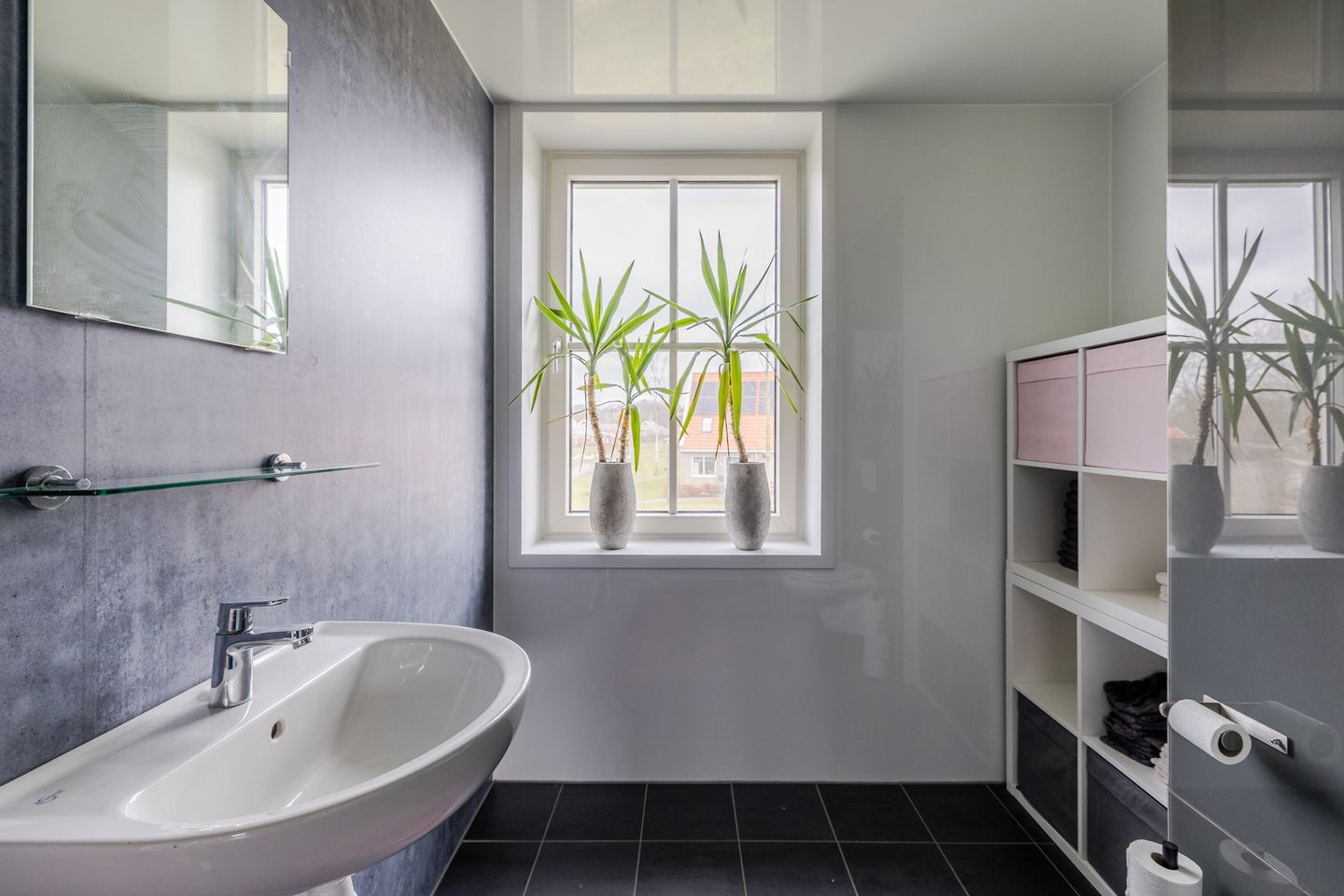 Foto 29 van Pronkridder 45