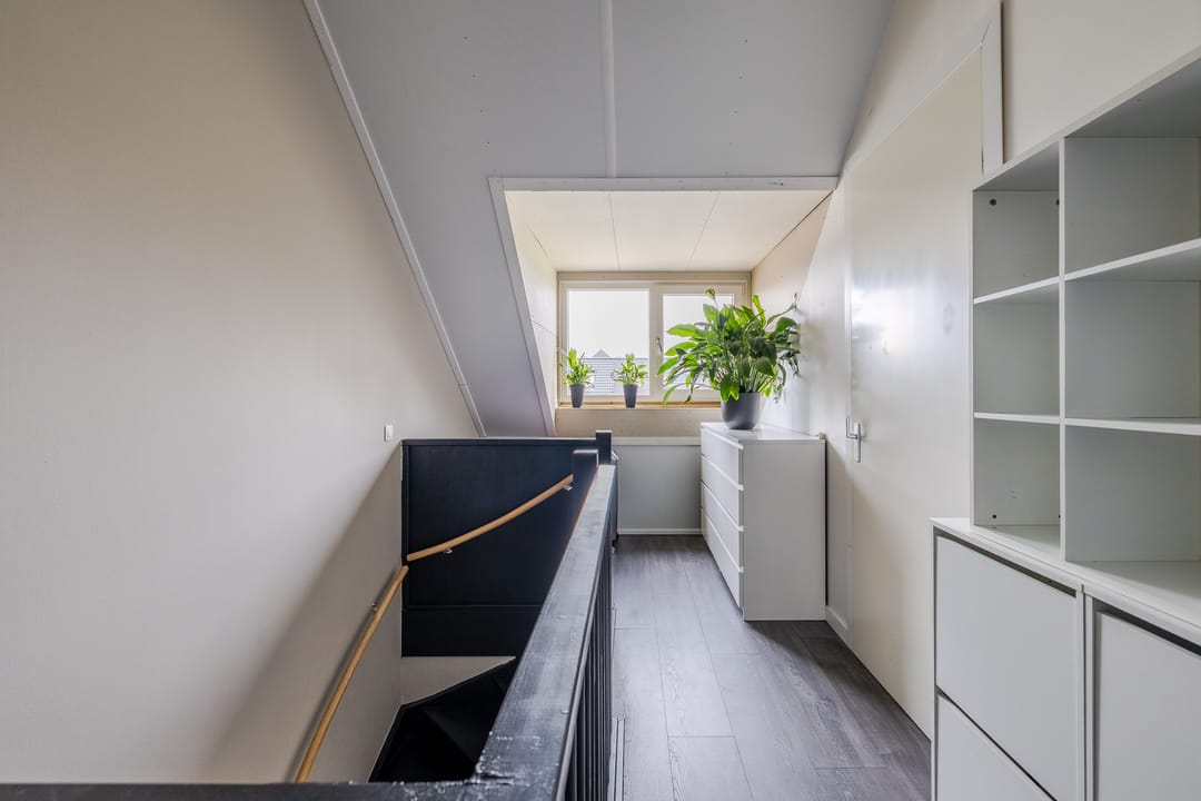 Foto 38 van Pronkridder 45