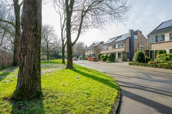 Foto 2 van Van Leeuwenhoekplantsoen 3