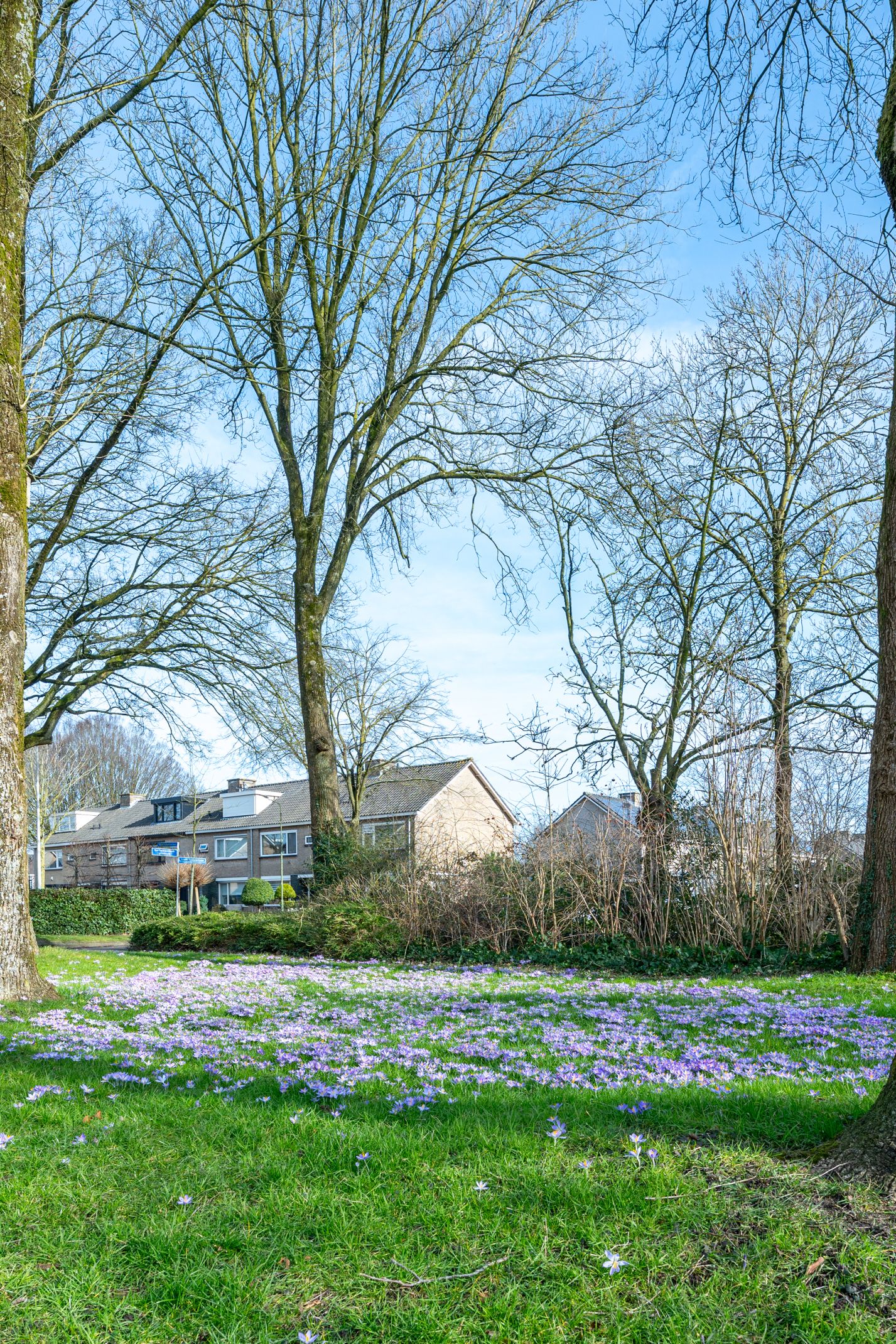 Foto 57 van Van Leeuwenhoekplantsoen 3