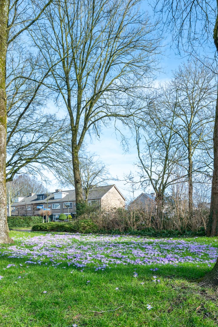 Foto 57 van Van Leeuwenhoekplantsoen 3