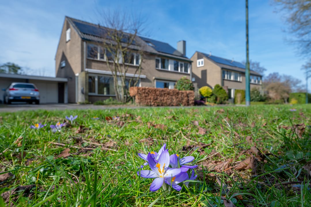 Foto 56 van Van Leeuwenhoekplantsoen 3