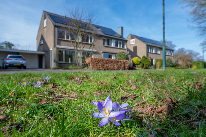 Foto 56 van Van Leeuwenhoekplantsoen 3