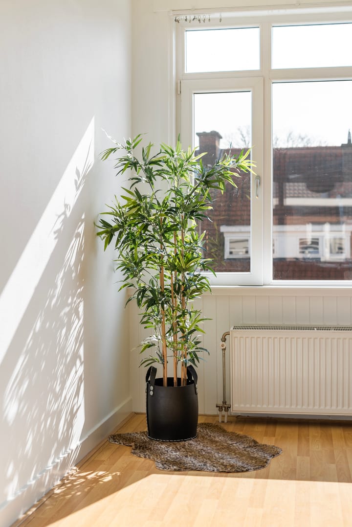 Foto 37 van Isingstraat 66