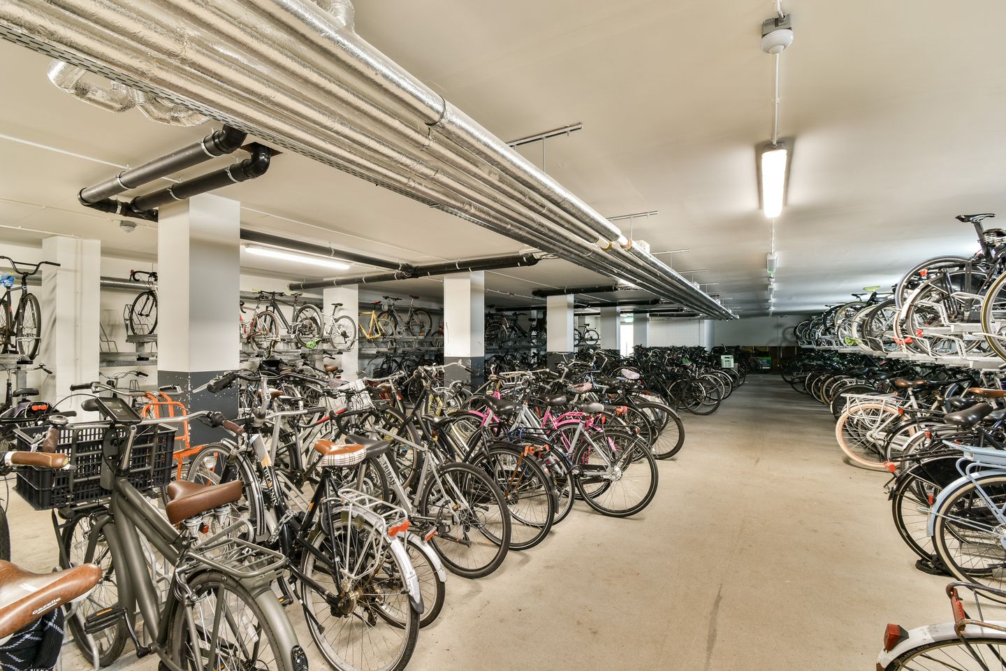 Photo 14 of Bos en Lommerplantsoen 97-H