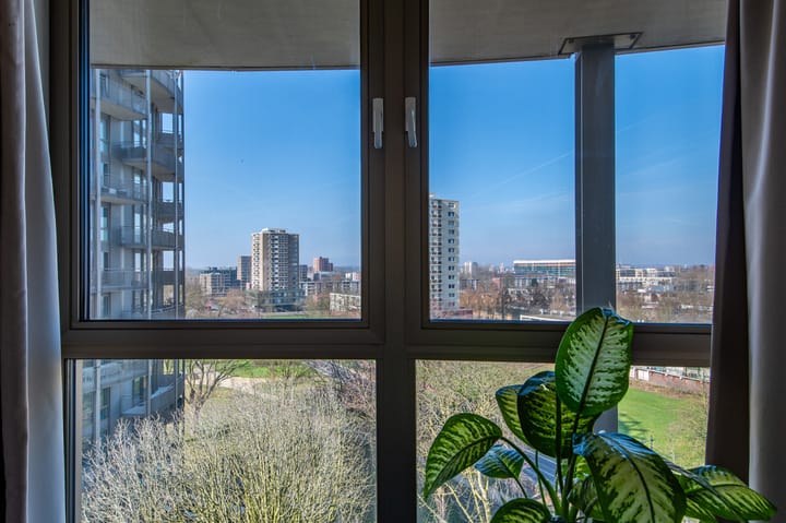 Foto 17 van Spijkerboorweg 452