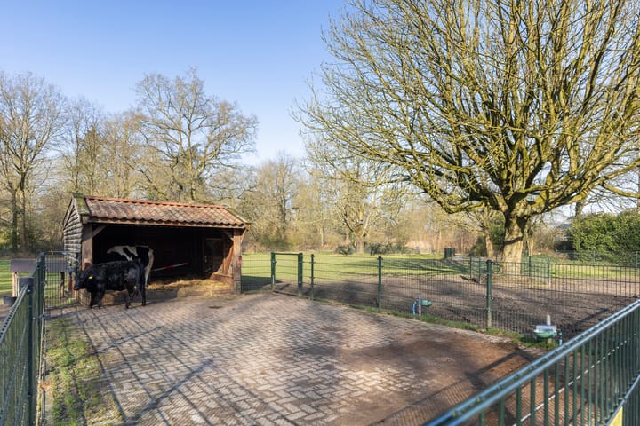 Foto 33 van Warenargaarde 236