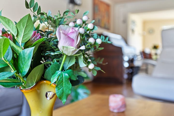 Foto 7 van Ambrozijnberg 48