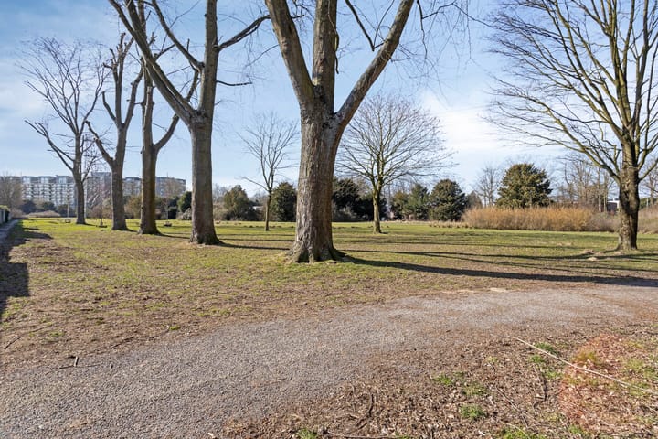 Foto 49 van Geraert Brandtstraat 29