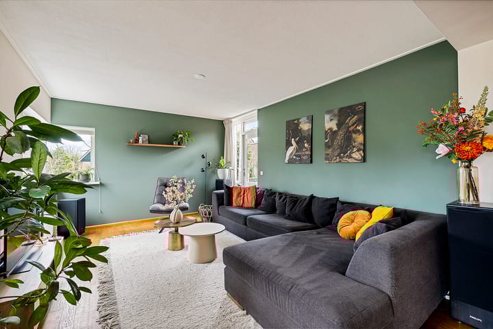 Foto 10 van Laan van Havezathen 46